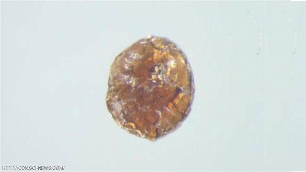 زجاج فائق الصلابة