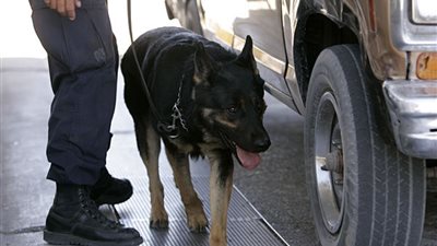 ضبط 6 عناصر إجرامية لاتهامهم بالاتجار بالمواد المخدرة في 3 محافظات