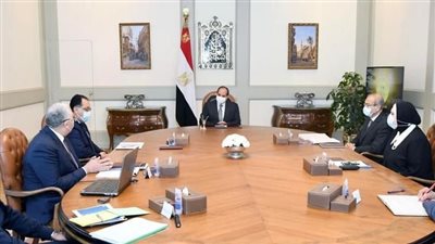 السيسي يوجه بتطوير منظومة إنتاج الأسمدة بهدف ضمان إتاحتها في السوق المحلية