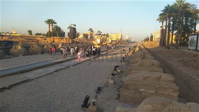 أحد أبطال فيلم الكباش: الافتتاح فاق الخيال وهذا أكثر المواقف المؤثرة خلال العمل بتطوير الطريق | فيديو