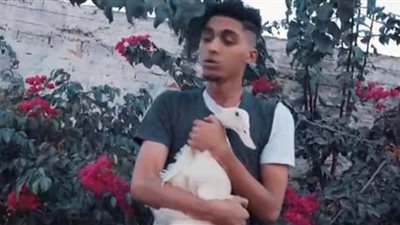 صاحب كليب شيماء: أغنية عشوائية وكنت بهزر.. والبطلة كانت المفروض معزة مش بطة