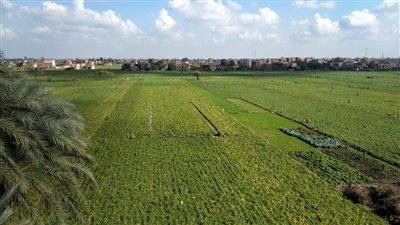 طقس الإثنين في المنوفية.. ارتفاع درجات الحرارة والعظمى تسجل 34 