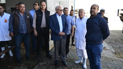 محافظ بورسعيد يجري جولة داخل محطة تسمين الماشية والمجزر الألي | صور 