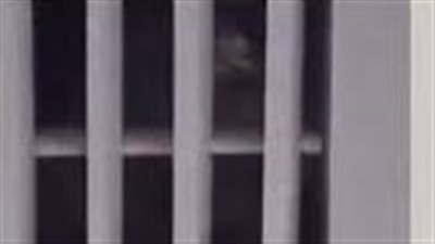 ضبط عامل نظافة وضع كاميرا سرية بحمام السيدات في مطعم بمدينة نصر | فيديو جراف