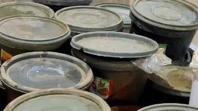 ضبط نصف طن مش دون بيانات ببورسعيد