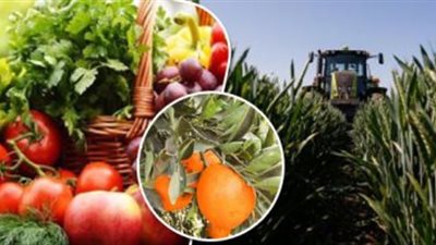 8 توصيات للتعامل مع المحاصيل الزراعية والثروة الحيوانية والسمكية في ظل التغيرات المناخية