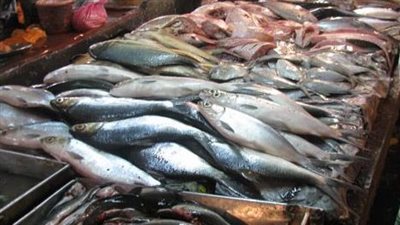 تعرف على أسعار الأسماك اليوم السبت 15 يناير 2022