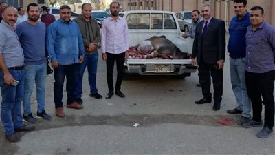 ضبط لحوم فاسدة في حملة تموينية بالفيوم