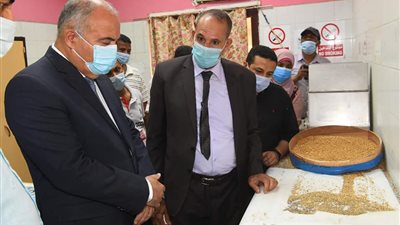 عايزينها تبقى خضرا.. زراعة 100 ألف فدان قمح بقنا في الموسم الجديد | صور