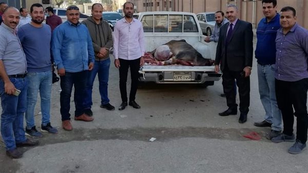 ضبط لحوم فاسدة في