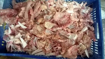 ضبط 3 أطنان هياكل دواجن غير صالحة للاستهلاك الآدمي بكفر الشيخ 