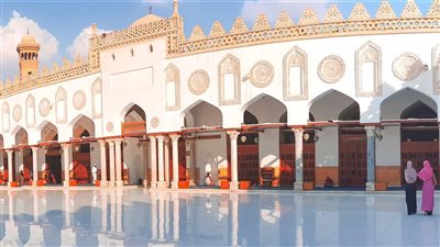 العالمية لخريجي الأزهر تحارب ظاهرة التنمر بالإسماعيلية