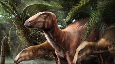 اكتشاف ديناصور مصاب بعدوى في الجهاز التنفسي منذ 150 مليون سنة |دراسة