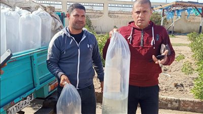 ضبط سيارتين محملتين بـ12700 وحدة زريعة أسماك بكفر الشيخ | صور
