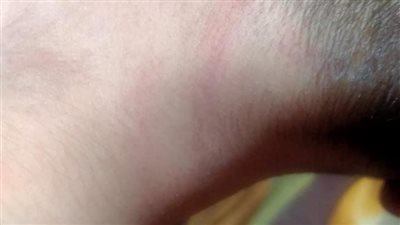 مش بتأكلنا.. نيابة بنها تباشر التحقيقات في واقعة اتهام طالب لأمه وزوجها العرفي بضربه 