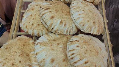 ضبط عدد من المخالفات خلال حملة تموينية بالدقهلية