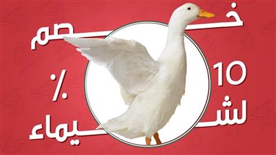 خصم 10% لكل من يحمل اسمها.. مطعم يسوق لمنتجاته بتريند شيماء ببورسعيد