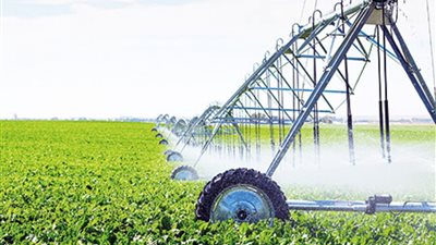 البنك الزراعي المصري: 40% نسبة الزيادة في الإنتاج حال تطبيق نظام الري الحديث