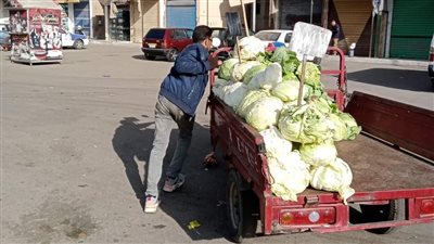 حملة مكبرة لرفع الإشغالات والتعديات بمنطقة فاطمة الزهراء بضواحي بورسعيد | صور