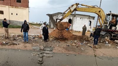  إزالة 6 آلاف حالة تعدٍ على الأراضي الزراعية خلال 4 سنوات بالإسكندرية