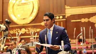 الشيوخ يوافق على 4 تعديلات مقترحة من أبو هشيمة بشأن قانون رعاية حقوق المسنين