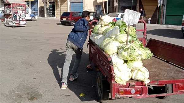 منطقة فاطمة الزهراء