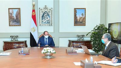 السيسي يوجه بإمداد التغذية الكهربائية لمشروع الدلتا الجديدة بمساحة 2.2 مليون فدان