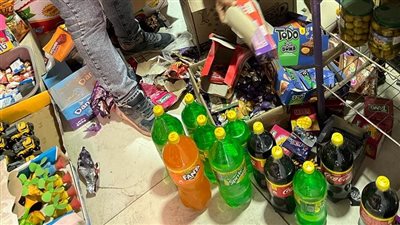 إعدام 145 كجم أغذية و30 لتر مشروبات غير صالحة بالدقهلية | صور