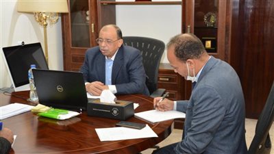 التنمية المحلية تدرس إنشاء منطقة صناعية مصرية متخصصة في الأخشاب بالكاميرون