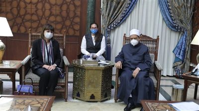شيخ الأزهر: الحلول المقدمة من الغرب لمشكلاتنا تشوه ثقافتنا وتخلق صراعا جديدا