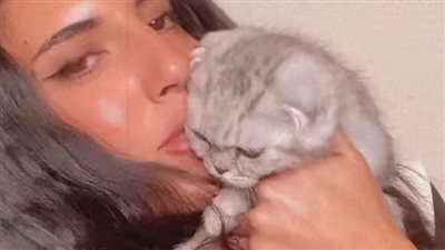 كورونا القطط.. البلوجر هادية غالب تعلن تعافي قطها: الحمد لله خف