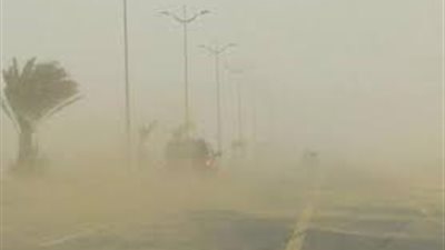 أمطار وعواصف ترابية شديدة.. استعدادات محافظتي الإسكندرية وكفر الشيخ لمواجهة الطقس السيئ| بث مباشر