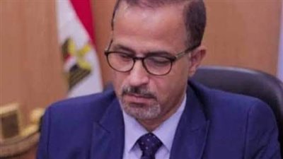 إيقاف مديرة النفايات بصحة القليوبية عن العمل 3 أشهر في واقعة الاعتداء على مسئول