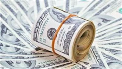 ضبط شخصين يتاجران في النقد الأجنبي بحجم تعاملات تخطى مليون جنيه