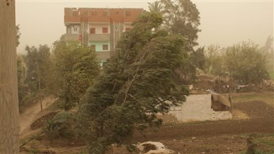 رفع درجة الاستعداد القصوى لمواجهة موجة الطقس السيئ بالمنوفية | صور 