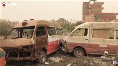 الثعالب والثعابين تهدد أهالي بلدة دملو ببنها.. والأهالي يستغيثون: خايفين نودي ولادنا المدارس