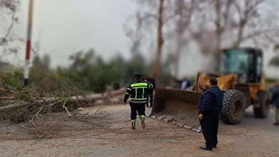 حقيقة تعطيل الدراسة بسبب الطقس السيئ في الشرقية | خاص