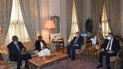 شكري يؤكد حرص مصر على المشاركة الفعالة في أنشطة منظمة التعاون الإسلامي 