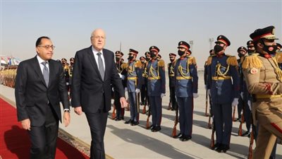 سياسي لبناني: حل أزمات بلادنا لا يتم إلا عبر مصر تاريخيًا