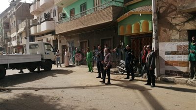 إزالة وتهذيب الأشجار تحسبًا لسقوطها بشارع أحمد عرابي في الأقصر | صور