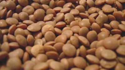 التموين ترفع سعر العدس التمويني عن شهر مايو 9 جنيهات