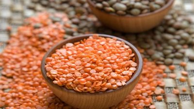 غرفة الحبوب: 100% ارتفاعًا في أسعار العدس خلال 8 أشهر.. والكيلو بـ 26 جنيهًا