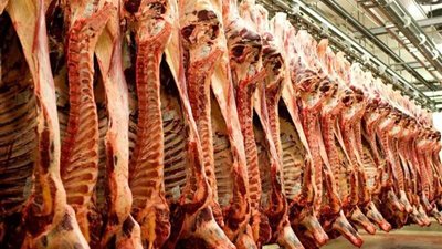 تصل إلى 170 جنيه ..تعرف على أسعار اللحوم في السوق المحلى 