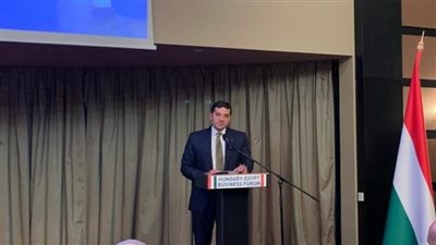 رئيس هيئة الاستثمار: المنطقة الصناعية المصرية بتنزانيا بداية لمشروعات مشتركة