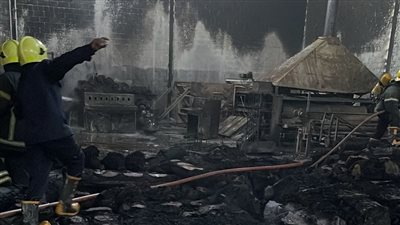 هدد 118 مصنعًا.. السيطرة على حريق هائل بمصنع للسجاد ببورسعيد ومصرع شخص | صور