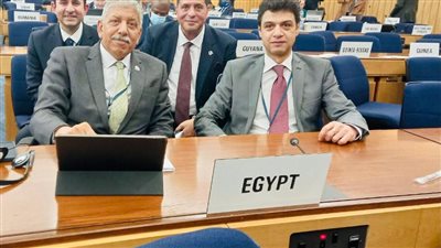 وزارة الخارجية: مصر تفوز بعضوية المجلس التنفيذي للمنظمة البحرية الدولية