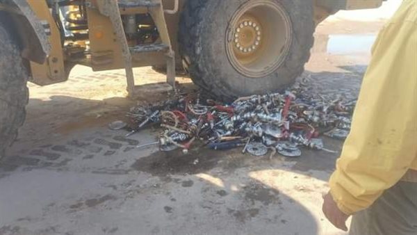 إعدام شيش بالبحيرة