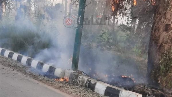 نشوب حريق بأراض زراعية