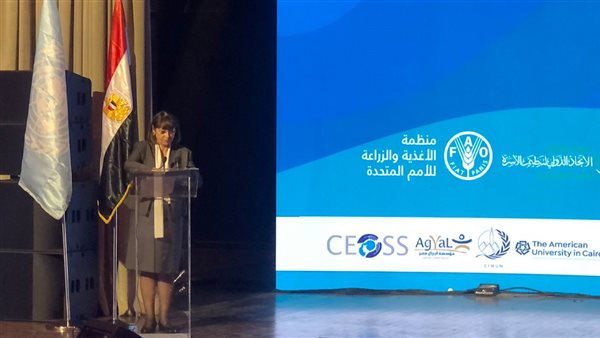 الأمم المتحدة