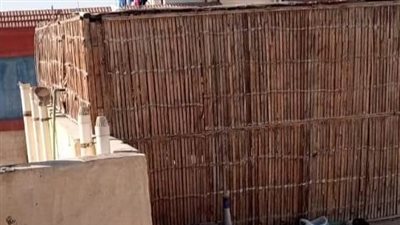 حملات لإزالة عشش الطيور والكلاب في حي المناخ ببورسعيد